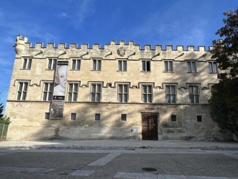 Avignon: All About Avignon Tour - Tour Experience