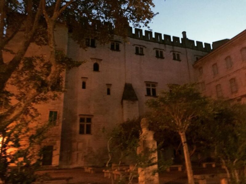 Avignon: All About Avignon Tour - Tour Inclusions