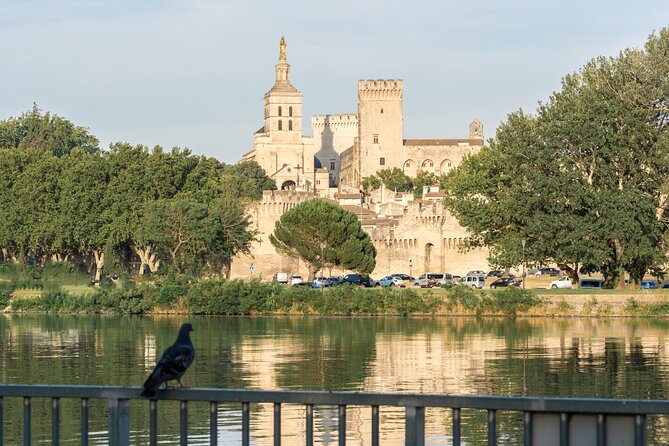 Avignon & Chateauneuf Du Pape Wine Tour - Avignon Popes Palace