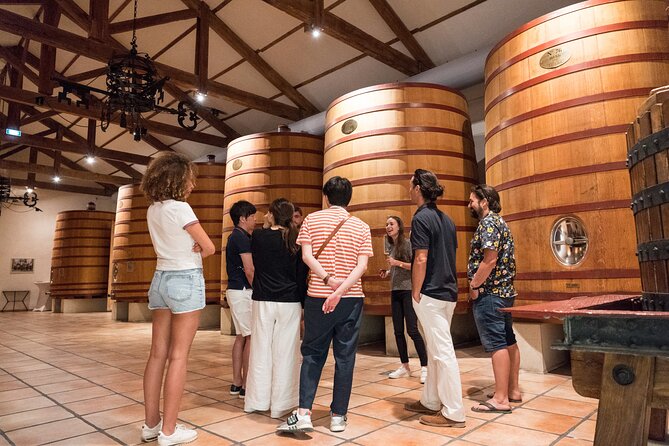 Avignon & Chateauneuf Du Pape Wine Tour - Côtes Du Rhône Wine