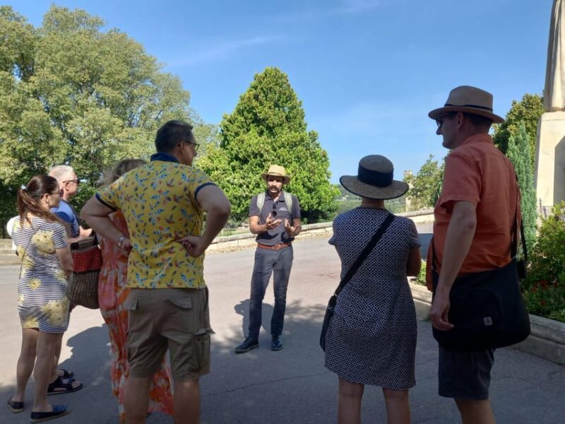 Avignon: City Walking Tour With Popes Palace Entry - Cobbled Streets and Landmarks