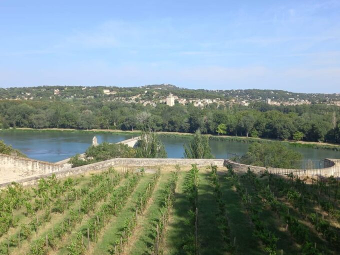 Avignon: City Walking Tour With Popes Palace Entry - Frequently Asked Questions