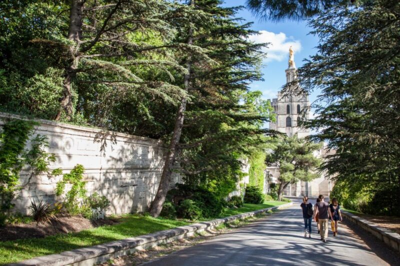 Avignon: City Walking Tour With Popes Palace Entry - Tour Requirements and Logistics