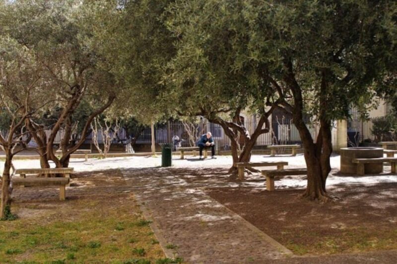 Avignon: Emblematic Squares Tour - Booking and Payment