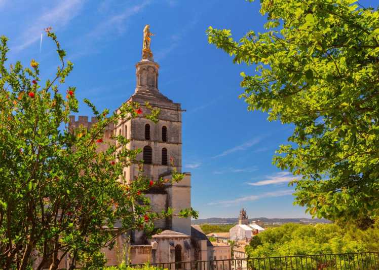 Avignon: Express Walk With a Local in 60 Minutes - Key Points