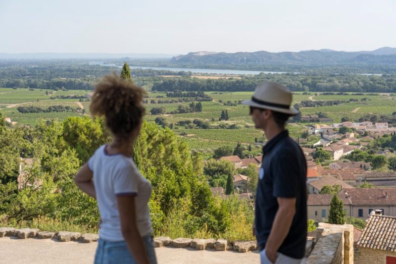 Avignon : Full-Day Châteauneuf Du Pape Wines & Luberon Tour - Wine and Grape Varieties