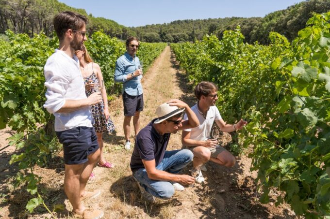 Avignon : Full-Day Châteauneuf Du Pape Wines & Luberon Tour - Highlights of the Tour Experience