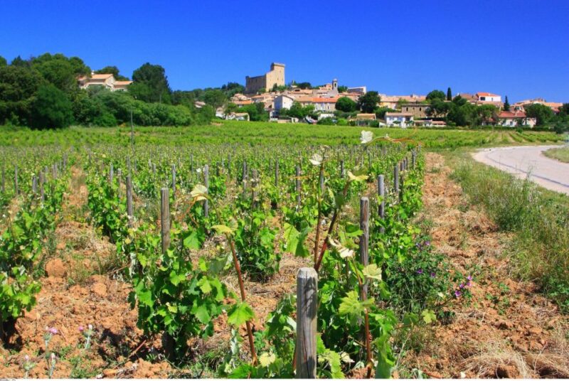 Avignon: Full-Day Wine Tour Around Châteauneuf-Du-Pape - Inclusions