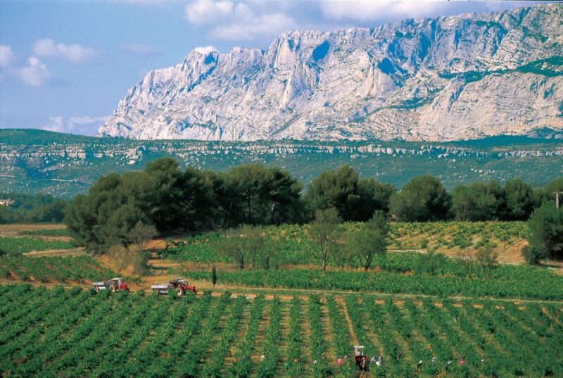 Avignon: Full-Day Wine Tour Around Châteauneuf-Du-Pape - Duration and Group Size