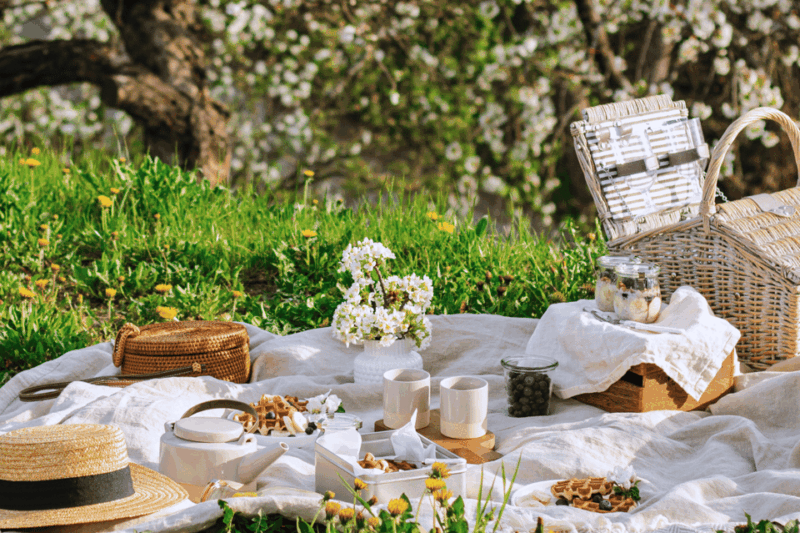 Avignon: Gourmet Picnic With View of the Pont D'avignon - Key Points