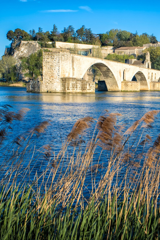 Avignon: Gourmet Picnic With View of the Pont D'avignon - Unique Features