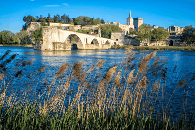 Avignon: Gourmet Picnic With View of the Pont D'avignon - Customization Options