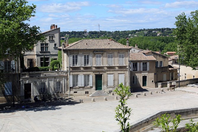 Avignon Half-Day Private Walking Tour, History, Culture, Markets - Experiencing the Afternoon Departure Option