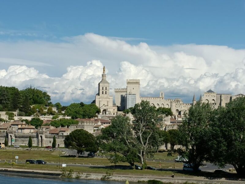 Avignon : Half-Day Walking Tour With Private Guide - Starting Location