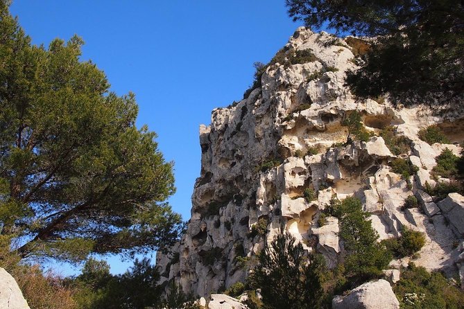 Avignon, Les Baux, St Remy, and Arles From MARSEILLE - Additional Information and Considerations