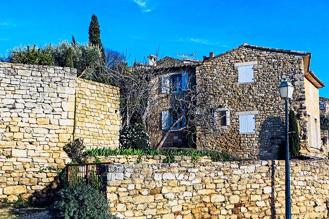 Avignon Palace of the Popes, Food Market & Isle Sur La Sorgue - Market Delights in Avignon