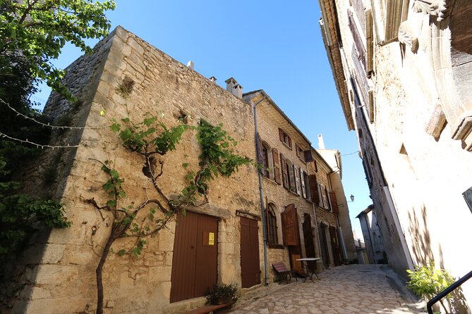 Avignon Palace of the Popes, Food Market & Isle Sur La Sorgue - Highlights of the Avignon Tour
