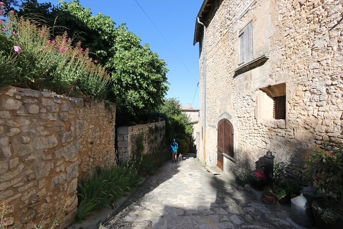 Avignon Palace of the Popes, Food Market & Isle Sur La Sorgue - Planning Your Avignon Adventure