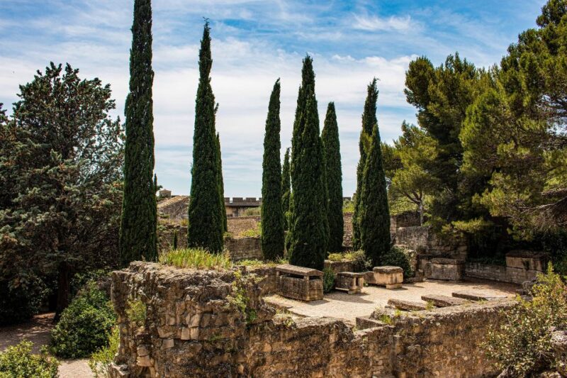 Avignon Private Guided Tour and Wine Tastings From Marseille - Inclusions