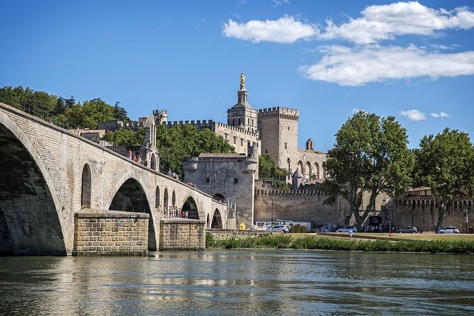 Avignon Private Walking Tour With A Professional Guide - Accessibility and Participation