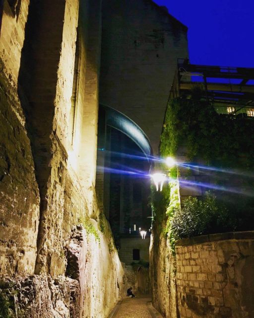 Avignon: The Night Owl Between Past and Present - Key Points