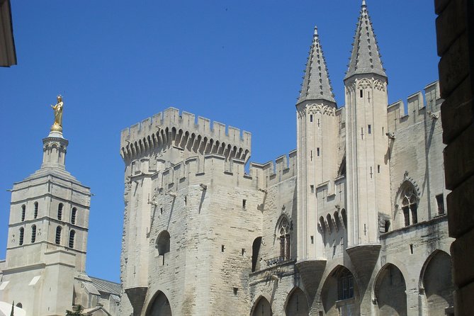 Avignon Walking Tour Including Popes Palace - Afternoon Wine Tour Option