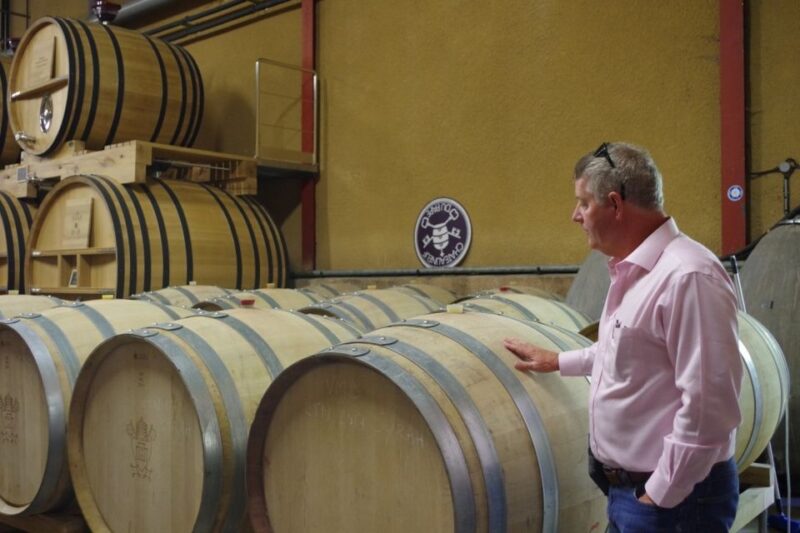 Avignon: Wine Tasting Tour - Vineyards of Châteauneuf-du-Pape