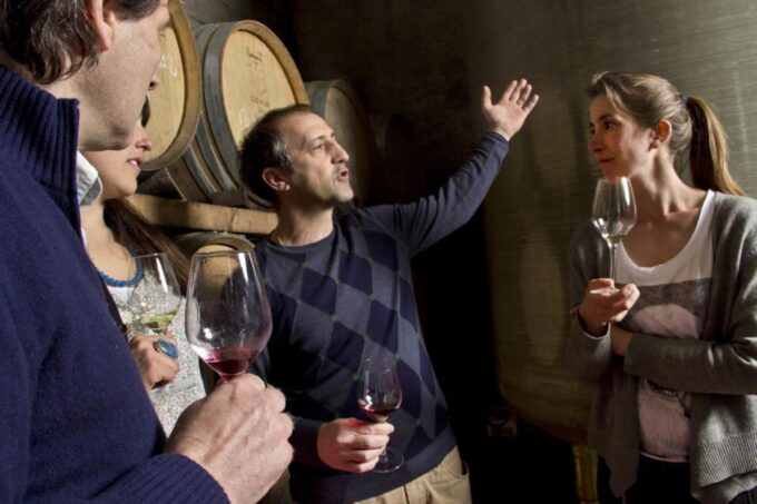Avignon: Wine Tasting Tour - Booking and Cancellation