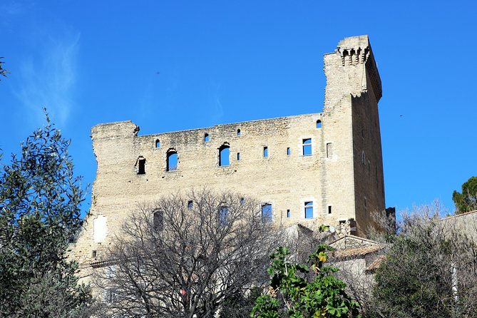 Avignons History, Local Culture & the Wines of Châteauneuf Du Pape Private Tour - Les Halles Marketplace Delights