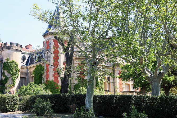 Avignons History, Local Culture & the Wines of Châteauneuf Du Pape Private Tour - Customizable Itinerary Tailored