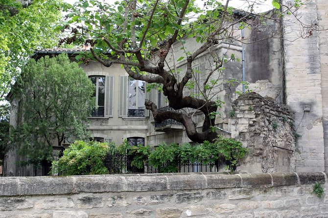 Avignons History, Local Culture & the Wines of Châteauneuf Du Pape Private Tour - Inclusions and Amenities