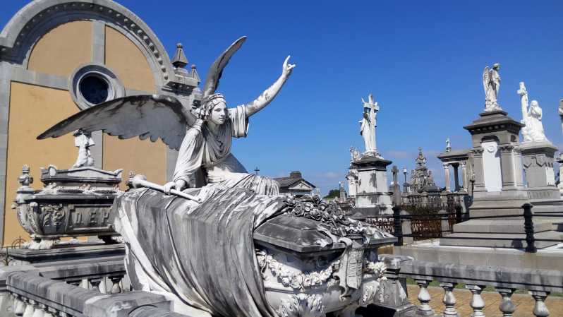 Avilés: Guided Tour of the La Carriona Cemetery - Key Points