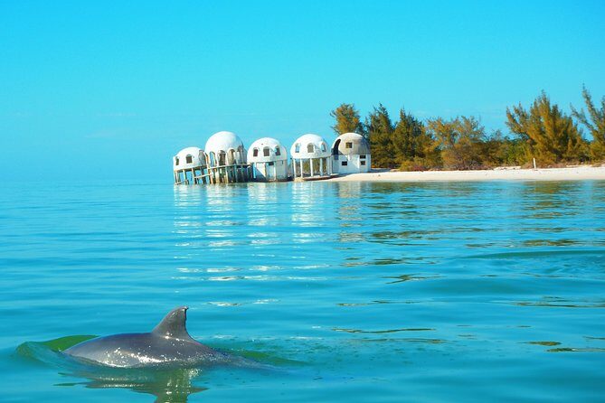 Avi's Premium Dolphin Tour by Jet Ski - A Closer Look at the Tour