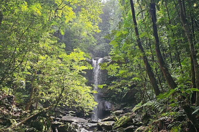 Avocat Waterfall and Maracas Bay, The Way Trinis Do It - Exploring Trinidad with a Touch of Adventure and Relaxation