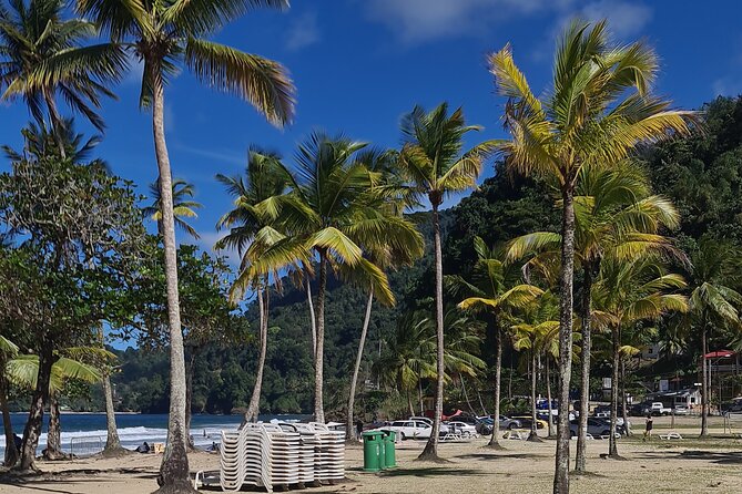 Avocat Waterfall Tour & Beach Stop Adventure - Included in the Tour
