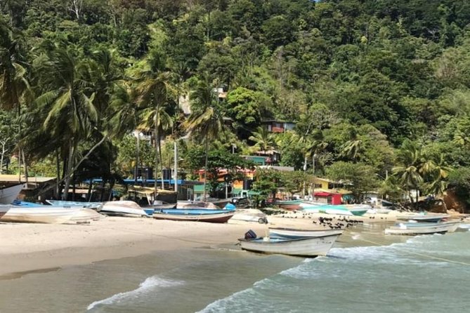 Avocat Waterfall Tour & Beach Stop Package - Tour Highlights