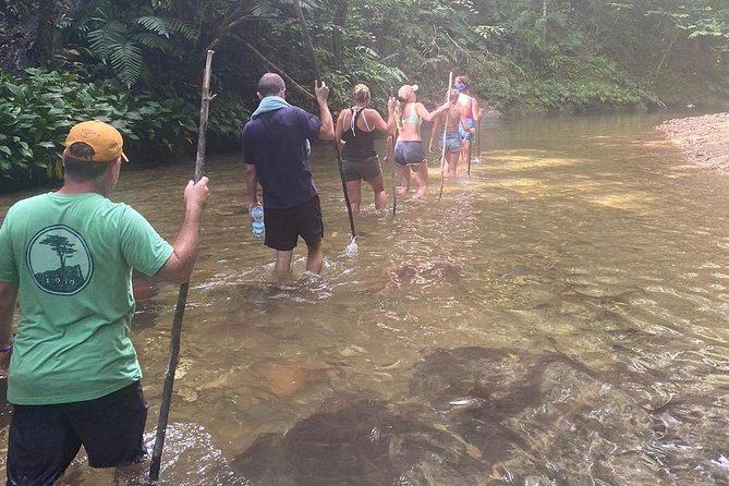 Avocat Waterfall Tour & Beach Stop Package - Health and Safety Guidelines