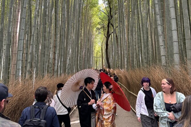 Avoid the Crowds at the Hidden Gems of Arashiyama in Kyoto - Embrace the Tranquility of a Private Tour