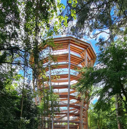 Avondale: Beyond the Trees Treetop Walk & Tower Entry Ticket - Key Points