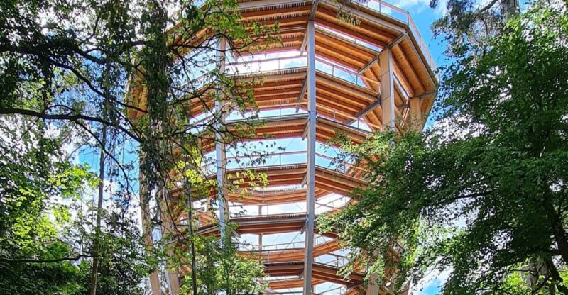 Avondale: Beyond the Trees Treetop Walk & Tower Entry Ticket - Experience Overview