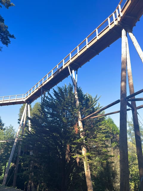 Avondale: Beyond the Trees Treetop Walk & Tower Entry Ticket - Visitor Reviews and Feedback