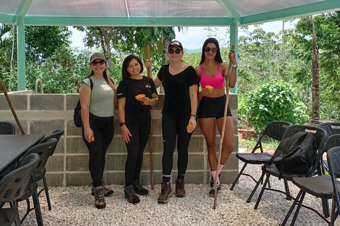 AWA Water Museum - Waterfall Adventure (Organic Food Experience) - Key Points