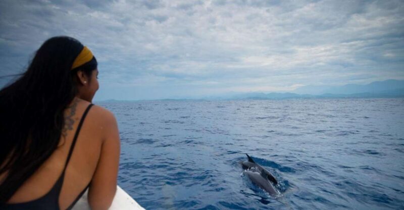 Awakening With Stars, Whales and Dolphins Boat Cruise - Logistics and Inclusions