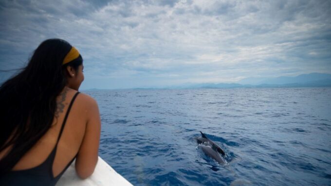 Awakening With Stars, Whales and Dolphins Boat Cruise - Additional Tips and Recommendations