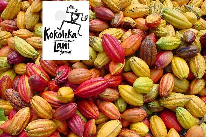 Award Winning Farm Tour: Coffee, Chocolate, & Unique Gifts Await! - Browse the Unique Handmade Gifts