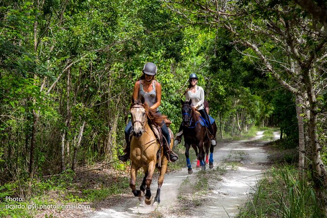 Award-winning Private Classic Horseback Ride - Rehabilitated Horses and Training
