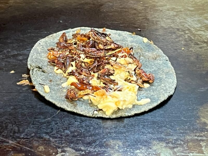 Awarded Mexican Mole & Mezcal Tour: Coyoacan by Chef Eduardo - Frida Kahlos Legacy