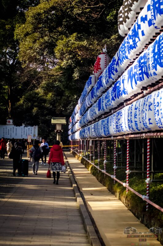 Awesome Private Tour: Tsukiji, Asakusa, Shinjuku, Shibuya - Local Expertise