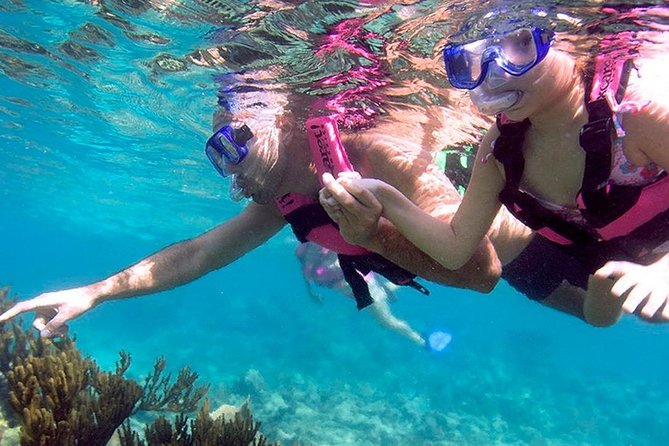 Awesome Tour Day at Xcaret Plus + Transportation From Riviera Maya - Transportation Options