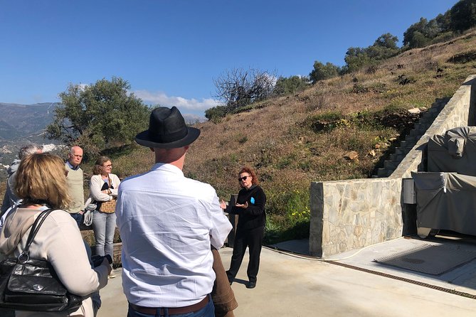 Axarquia VIP Wine Tour With Gourmet Winery Lunch Experience - Traditional Sweet Local Wine